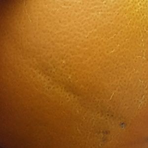 Meet your Posher, Leland